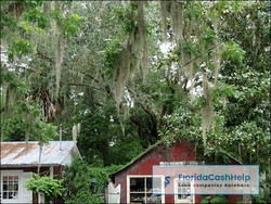 Micanopy
